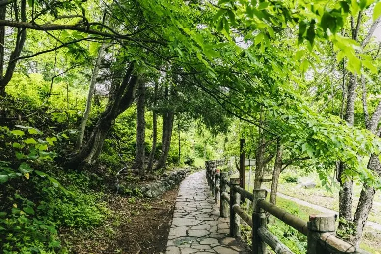 定山溪 散步