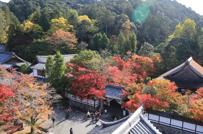 南禪寺旅遊