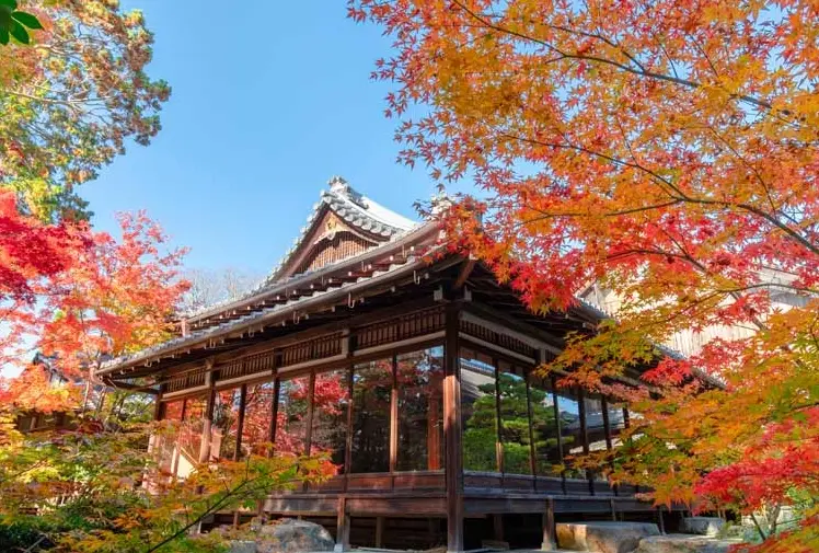 南禪寺旅遊