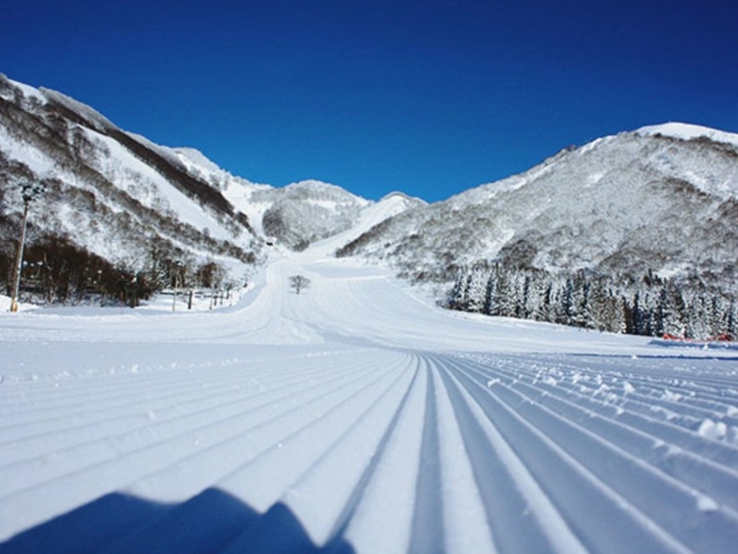 滑雪初学者 白马