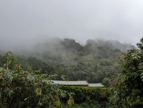 溪山苗圃站 交通 溪山苗圃站 交通