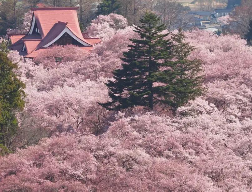 高遠城址公園 交通