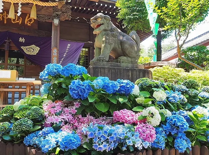白山神社 御守