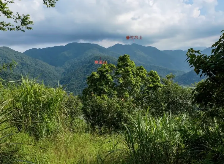 溪山苗圃站完整攻略：交通、門票、必看植物與隱藏景點