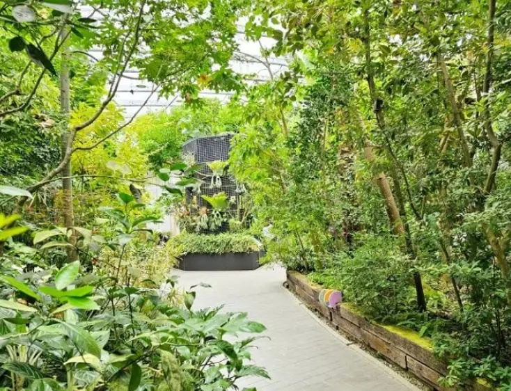溪山苗圃站 植物 溪山苗圃站 植物