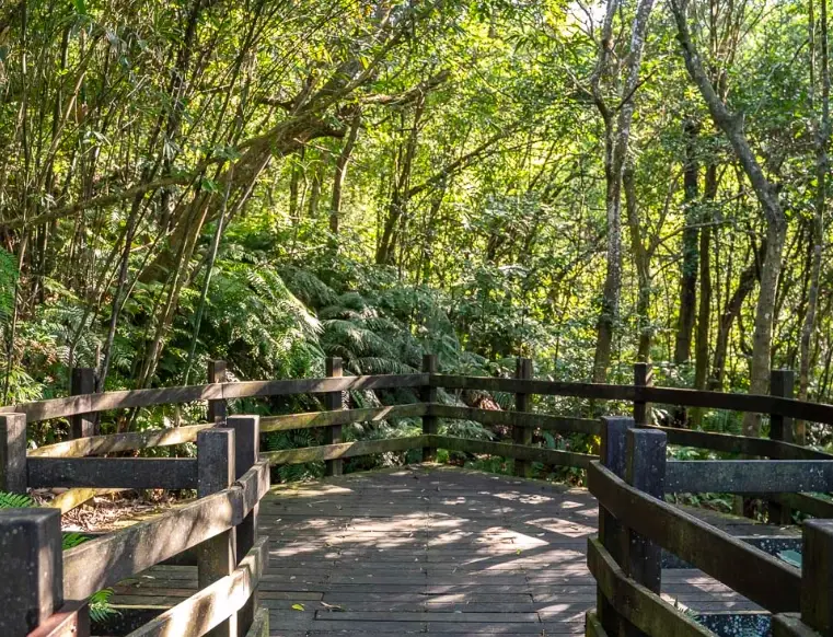 台北親子健行景點 台北親子健行景點
