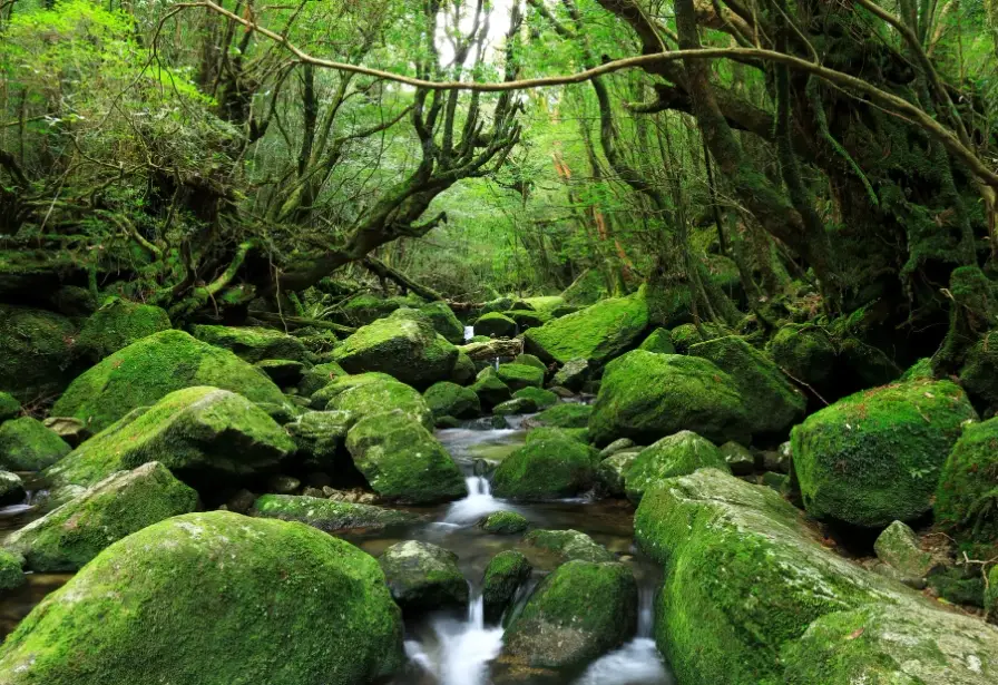 九州景點 九州景點