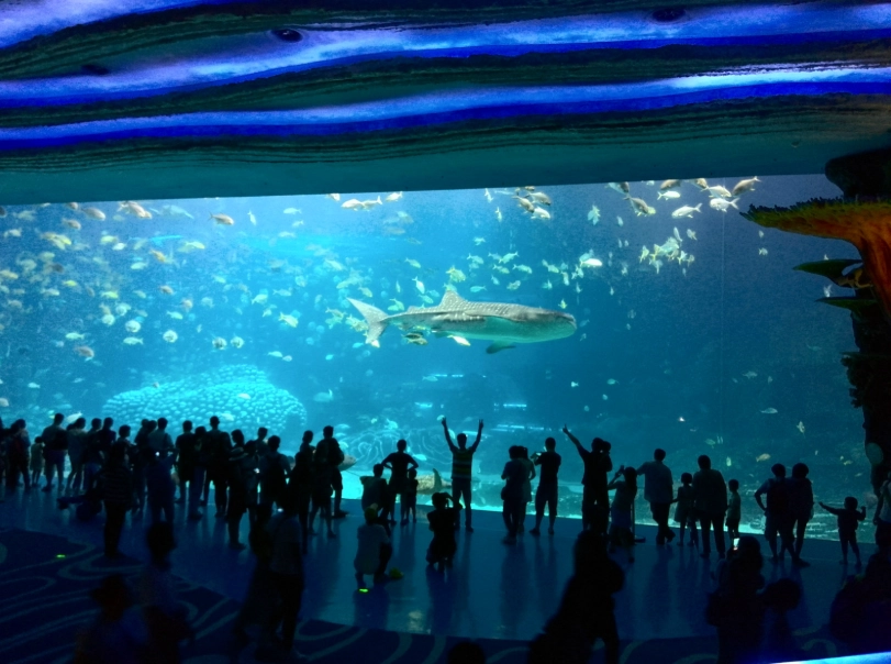 珠海長隆海洋王國門票 珠海長隆海洋王國門票