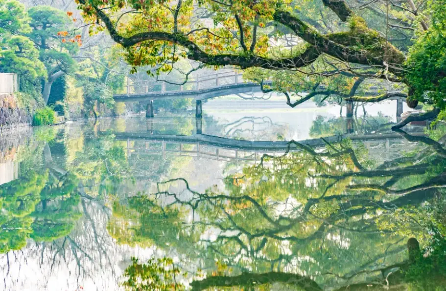 福岡兒童樂園 福岡兒童樂園