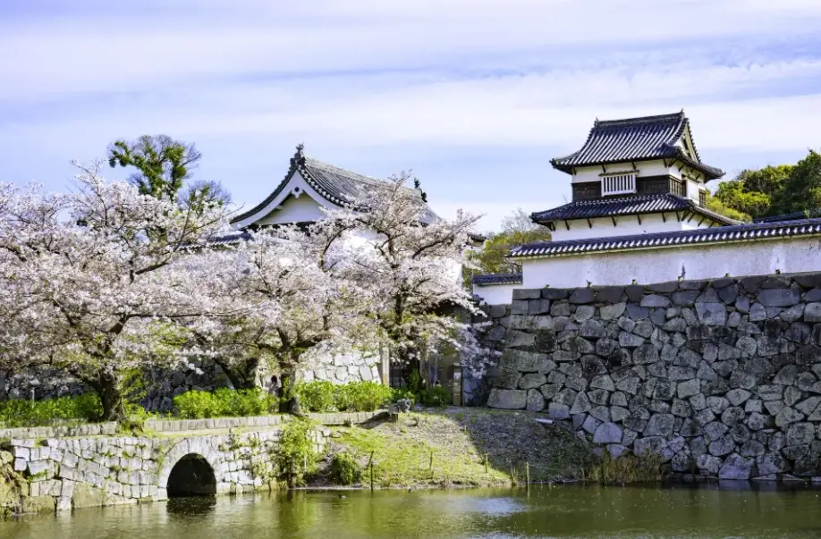 福岡兒童樂園 福岡兒童樂園