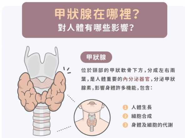 甲狀腺亢進 吃蛋