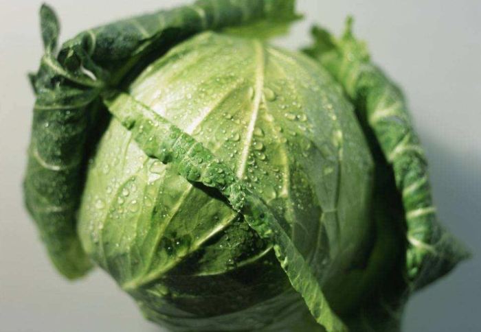 甲狀腺亢進飲食禁忌蔬菜