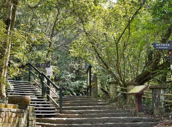 大崙頭森林步道