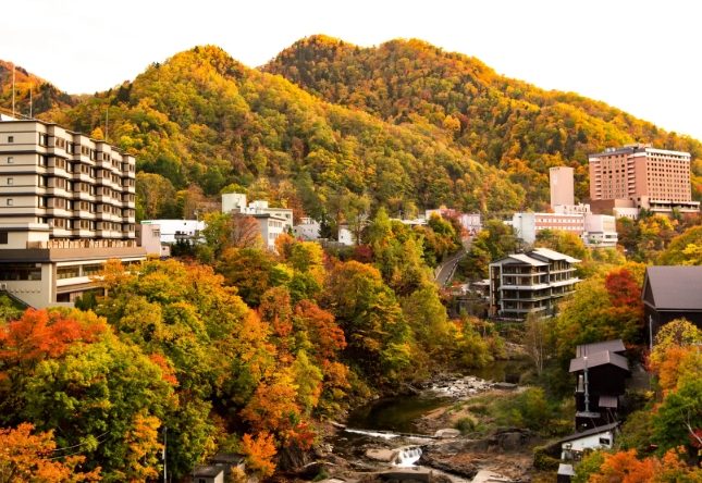 北海道賞楓