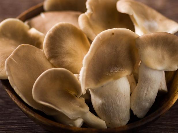 秀珍菇新鮮度判斷