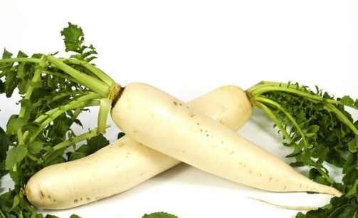 紅蘿蔔白蘿蔔一起吃壞處