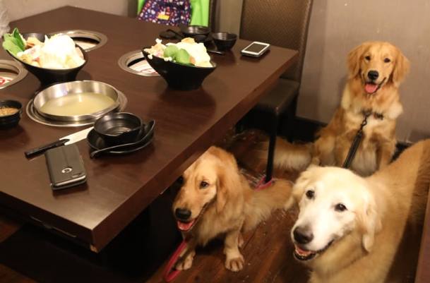 中山站寵物友善餐廳