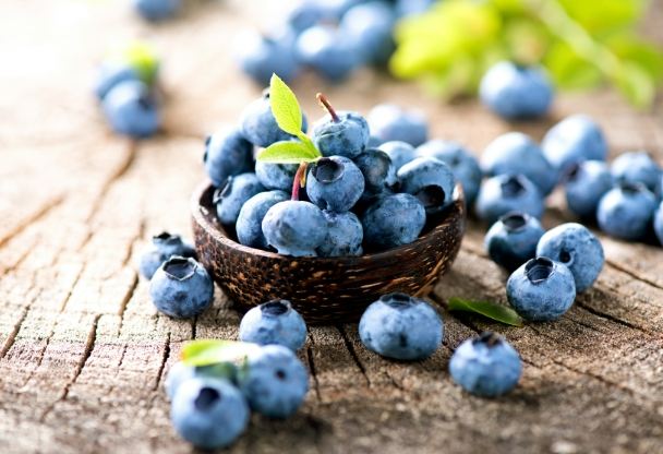 藍莓鉀營養