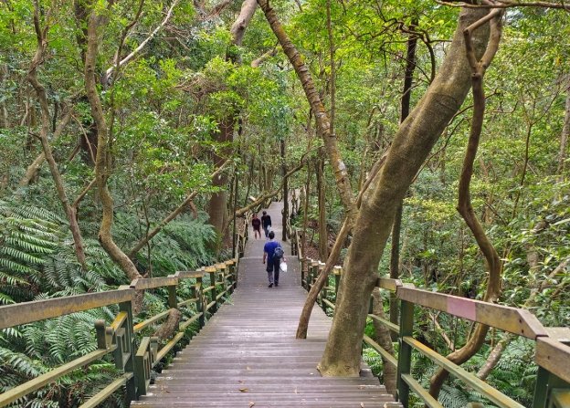 台北步道推薦