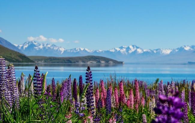 紐西蘭自然景觀