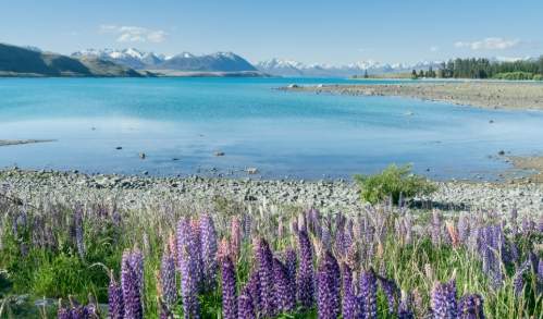 紐西蘭南島必去
