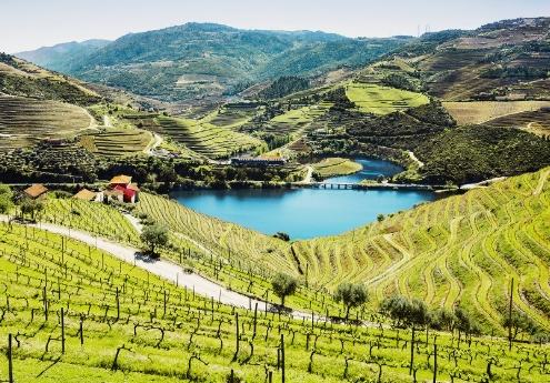 纽西兰租车攻略