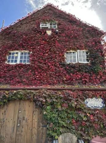 奧克蘭酒莊旅遊