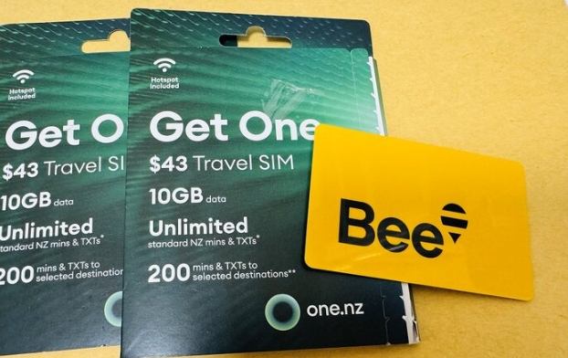 皇后鎮公車支付