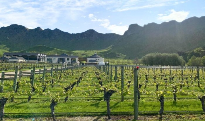 紐西蘭葡萄酒莊園