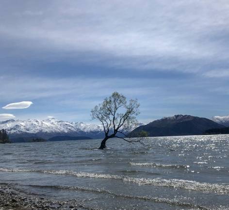 瓦納卡皇后鎮交通