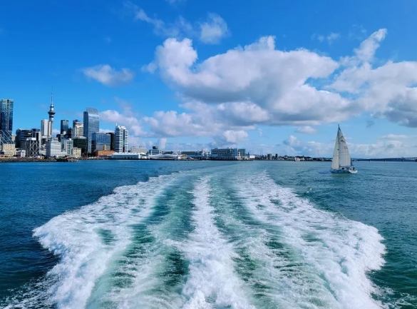 紐西蘭公共交通