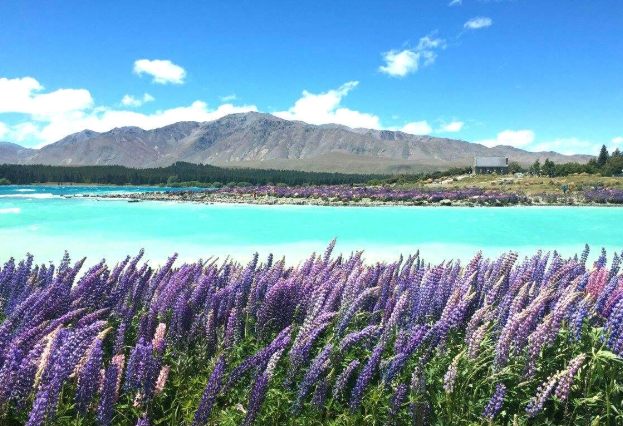 紐西蘭旅遊攻略