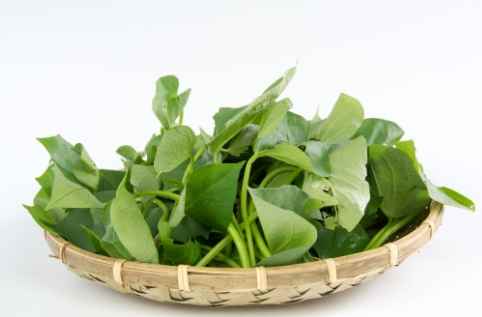 地瓜葉禁忌食物