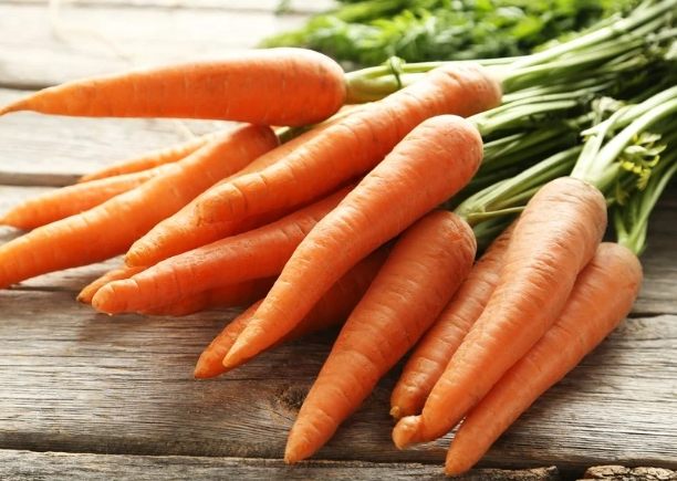 红萝卜饮食建议