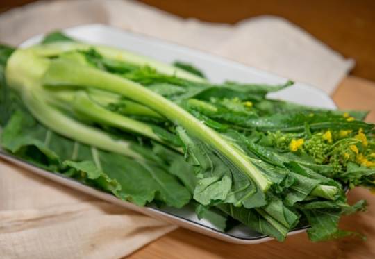 菜心易消化
