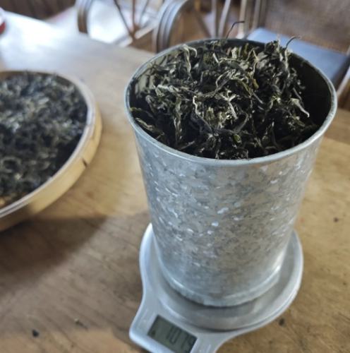 生茶咖啡因功效