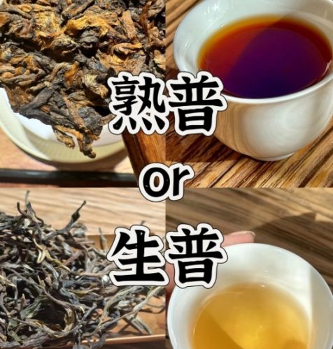 普洱茶生熟茶比較
