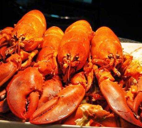 台灣龍蝦自助餐