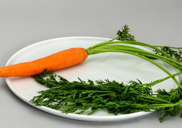 红萝卜饮食建议