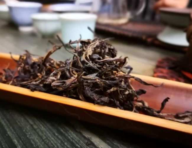 生茶 綠茶 生茶 綠茶