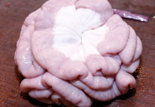 豬的粉腸清洗方法