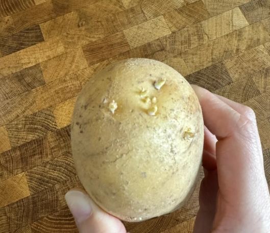 馬鈴薯發芽原因