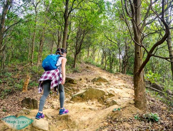 台北藝術大學步道