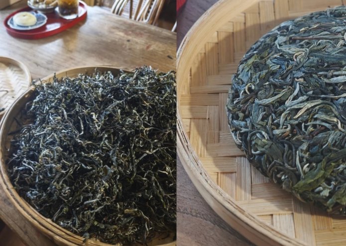 生茶咖啡因功效