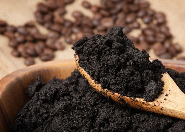 蝸牛討厭的氣味