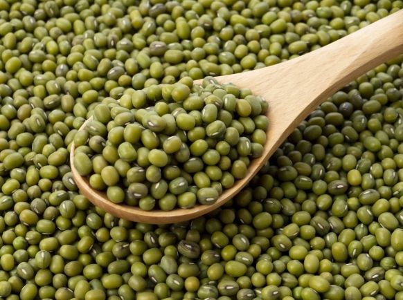 米豆營養