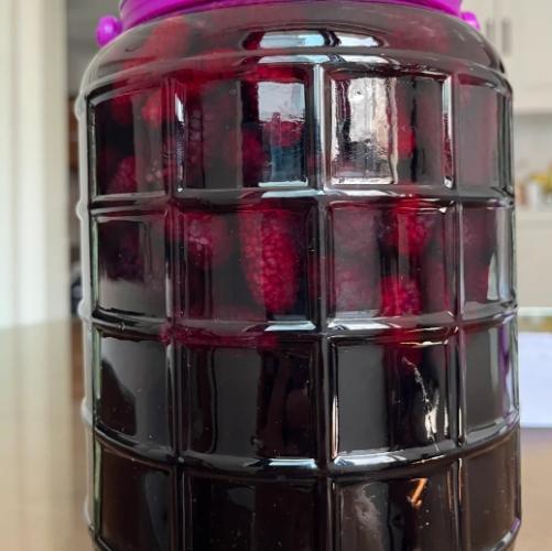 桑椹酒不宜人群