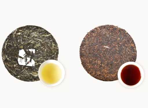 普洱茶生熟茶比較