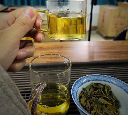 普洱茶怎麼泡