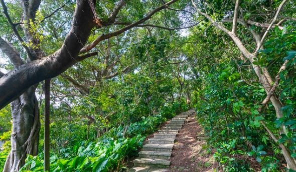 台北藝術大學步道